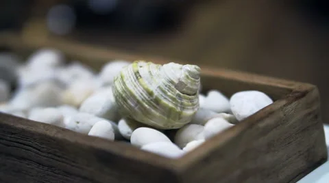 Seashell on white pebble setting for summer elements Stock Footage 58913435