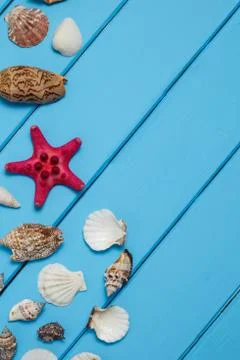 Seashell on wooden background texture Stock-Fotos
