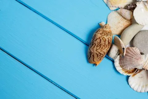 Seashell on wooden background texture Stock Photos