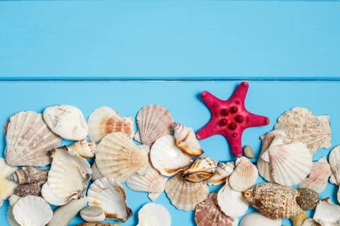 Seashell on wooden background texture Stock Photos