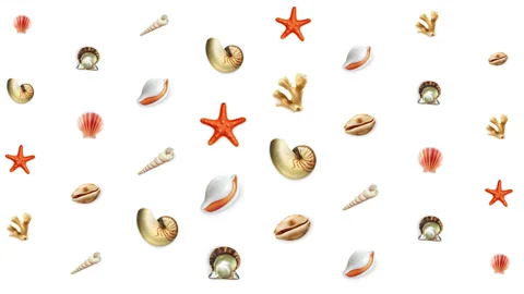 Seashells 8K pattern loop background Stock Footage 156530658