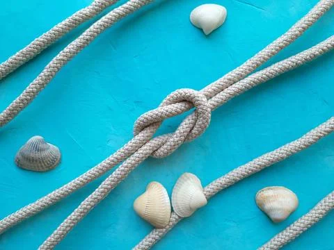 Seashells among the rope Stockfoto's