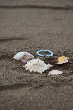 Seashells and beads on the sandy beach Stock Photos