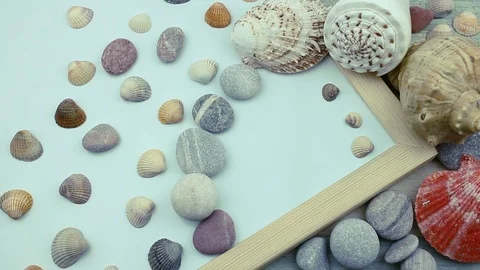 Seashells and blank space Stock Footage 87203000