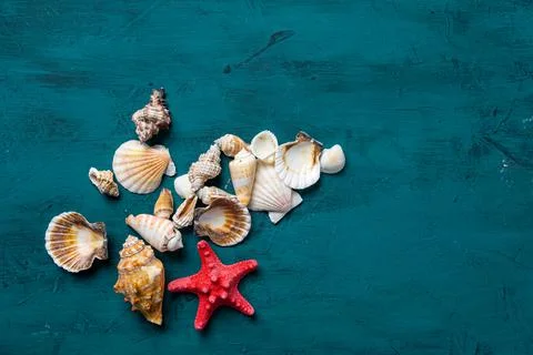 Seashells and coconut shell composition over the bamboo mat against the blue Stock Photos