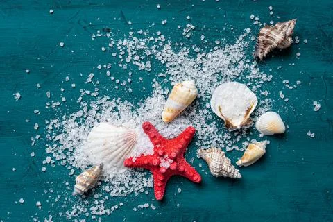 Seashells and coconut shell composition over the bamboo mat against the blue Stock Photos