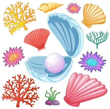 Seashells and Coral Vector Illustration Stock Illustration
