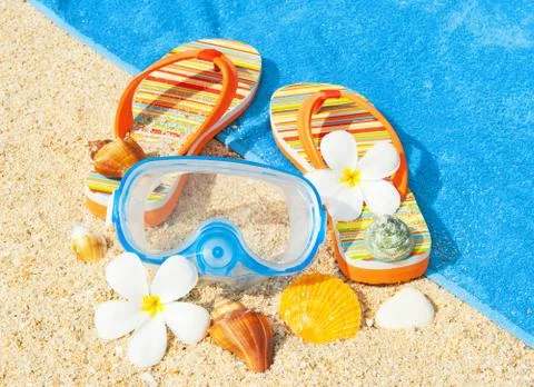 Seashells and diving mask on the beach Stock Photos