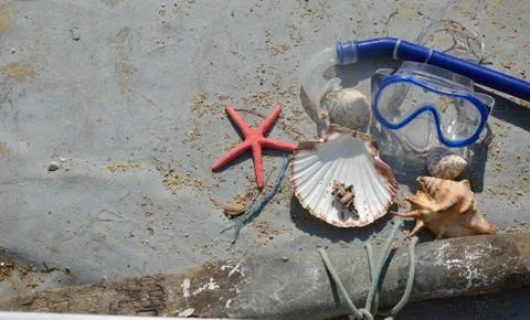 Seashells and Diving Mask in Old Boat Stock Photos