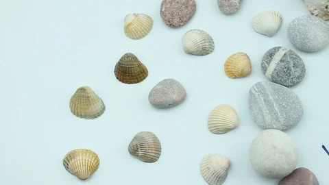 Seashells and holiday close up Stock Footage 87203139