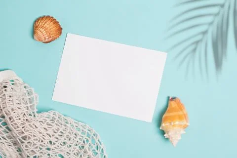 Seashells and palm shadow on blue background, top view Stock Photos