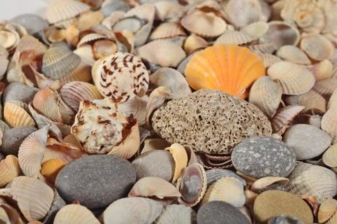 Seashells and pebbles close-up Stock Photos