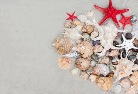 Seashells and red seastars on the sand, summer beach background Stock Photos