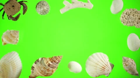 Seashells and Sand on a Green Screen 스톡 동영상 64998254