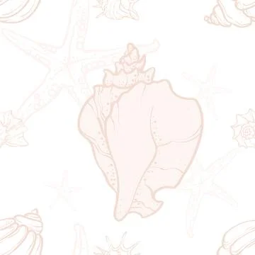 Seashells and starfish on a beige background. Hand-drawn marine illustratio.. Stock Illustration