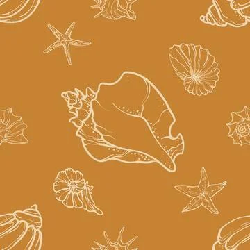 Seashells and starfish on a beige background. Stock Illustration