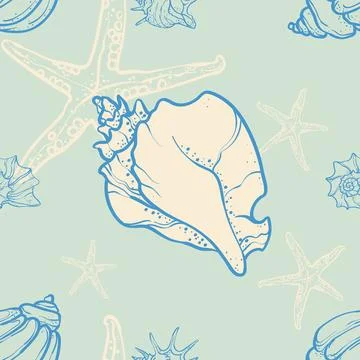 Seashells and starfish on a beige background. Hand-drawn marine illustratio.. Stock Illustration