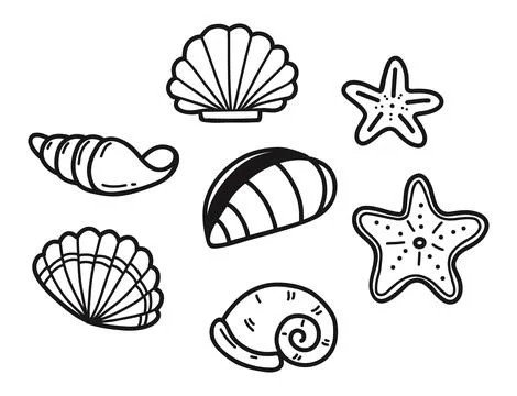 Seashells and Starfish Doodle Set. Minimalist Sea Shells, Ocean Marine Life.. Illustrazione stock