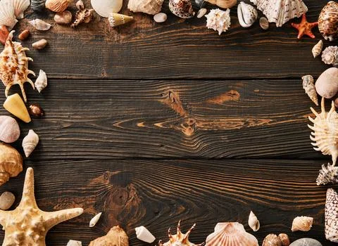 Seashells and starfish frame on dark wooden background with copy space for text Stock Photos