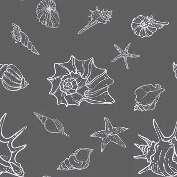 Seashells and starfish . Hand-drawn marine illustration perfect for textile.. Stock Illustration