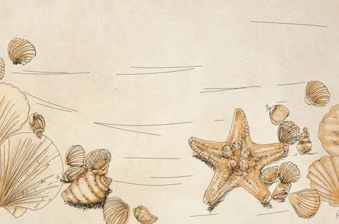 Seashells and starfish on old paper background. Hand drawn illustration Stock Illustration