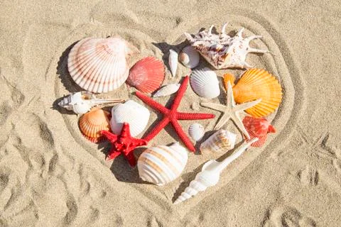 Seashells and starfish Stock Photos