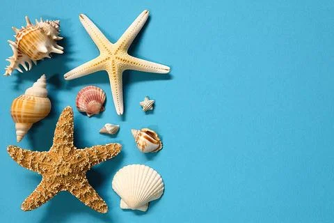 Seashells and a starfish Stock Photos