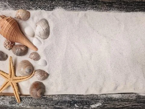 Seashells and a starfish rest on soft sand, creating a peaceful beach-inspi.. Stock Photos