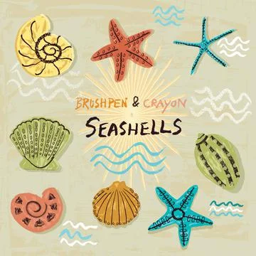 Seashells and starfish vector icon set. Brush pen and crayon hand-drawn eleme Stock Illustration
