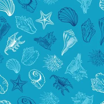 Seashells and starfish vector seamless pattern Illustrazione stock