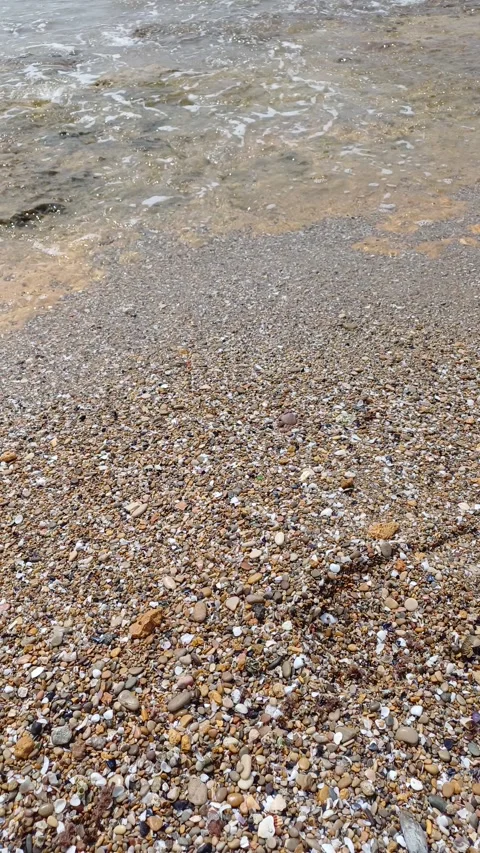 Seashells and Waves Along the Rocky Shore Stock Footage 282299505