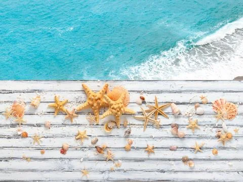 Seashells and Wood Texture. Stock Photos