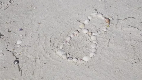 Seashells arranged in shape on sandy beach Stock Footage 312325616