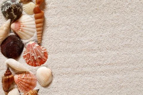 Seashells Background Stock-Fotos