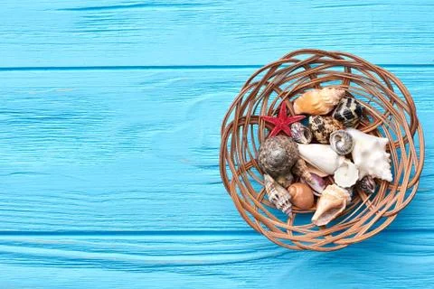 Seashells in basket, blue background. Stock Photos