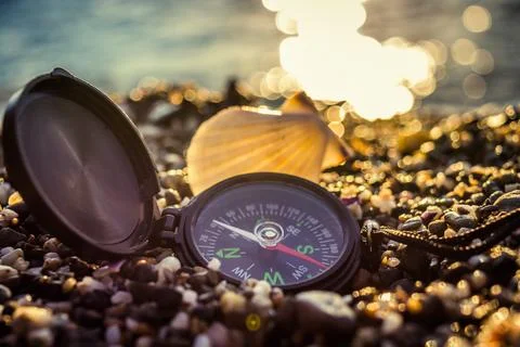 Seashells on the beach Stock Photos