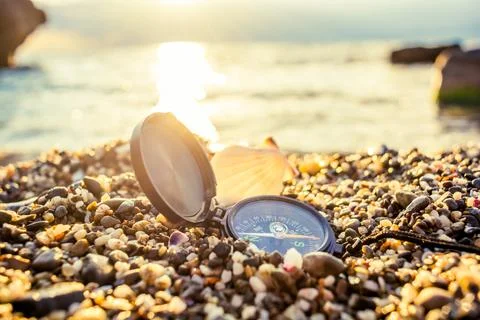 Seashells on the beach Stock Photos