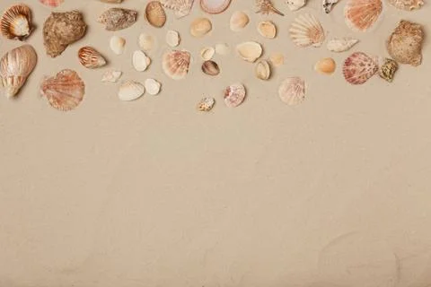 Seashells on beach sand, top view with space for text Stock Photos