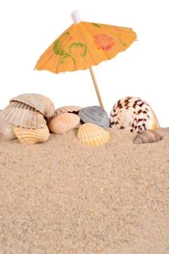 Seashells in beach sand on a white Stock Photos
