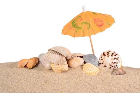 Seashells in beach sand on a white Stock Photos