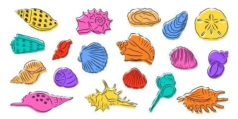 Seashells big set. Hand drawn colorful sea shells collection in sketchy doo.. 스톡 일러스트
