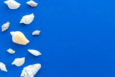 Seashells on blue background. Marine shells. Summer holiday Stock Photos