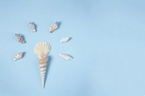 Seashells on the blue background Stock Photos