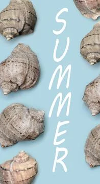 Seashells on a clean background. Simple summer background. Association with t Foto stock