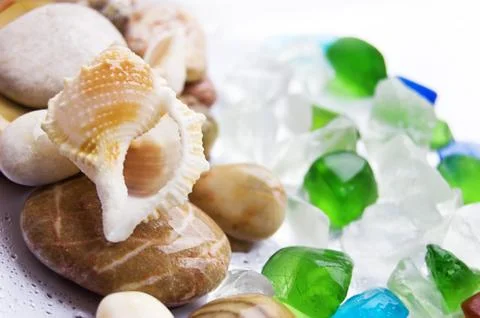 Seashells collection Stock Photos