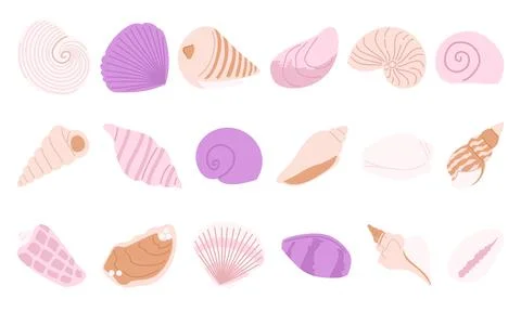 Seashells collection set 스톡 일러스트