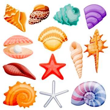Seashells collection. Vector flat cartoon illustration. Summer travel design Stock Illustration