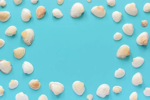 Seashells with copy space for text on blue paper background. Top view Templat Stock Photos