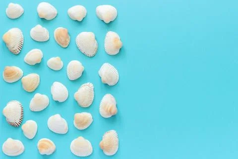 Seashells with copy space for text on blue paper background. Top view Templat Stock Photos