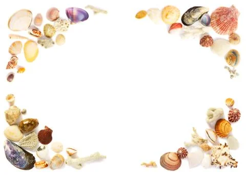Seashells corners Stock Photos